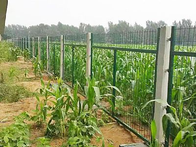 高鐵沿線護欄網